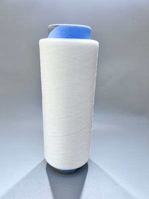 0.15mm 폴리아마이드 나일론 모노필라멘트 가드 필라멘트 FDY 커리 트위스트