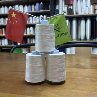 Eco-Friendly PVA Water Soluble Thread with Low Shrinkage and 20/2 Yarn Count for Sewing and Embroidery